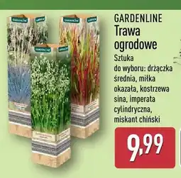 ALDI Trawa ogrodowa Gardenline oferta