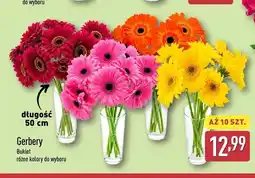 ALDI Bukiet gerber Gardenline 10-pak oferta