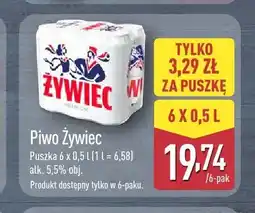 ALDI Piwo Żywiec 6-pak oferta