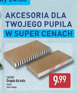 ALDI Drapak dla kota Cachet oferta