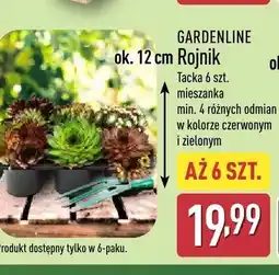 ALDI Rojnik Gardenline 6-pak oferta