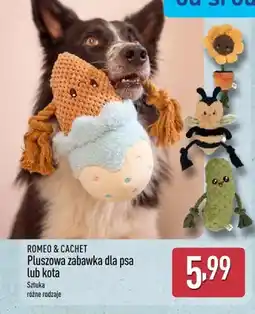 ALDI Pluszowa zabawka dla psa Romeo & Cachet oferta