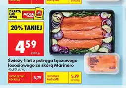 Biedronka Świeży filet z pstrąga tęczowego łososiowego ze skórą Marinero oferta