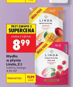 Biedronka Mydło w płynie Linda Malina oferta