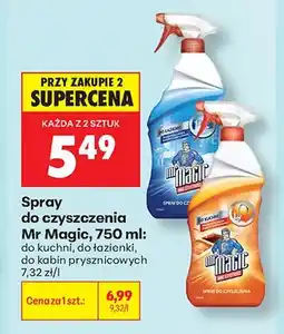 Biedronka Spray do czyszczenia Mr Magic do łazienki oferta