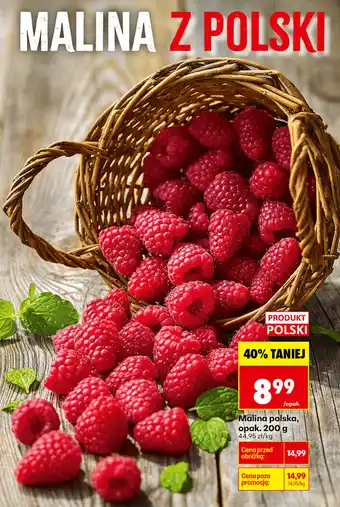 Biedronka Malina polska oferta
