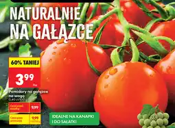 Biedronka Pomidory na gałązce na wagę oferta
