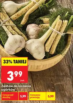 Biedronka Zestaw do kiszenia ogórków oferta