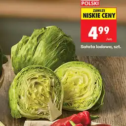 Biedronka Sałata lodowa, szt oferta
