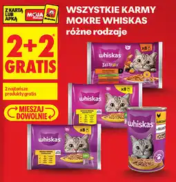 Biedronka Wszystkie karmy mokre Whiskas, różne rodzaje oferta
