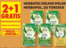 Biedronka Herbatki Zielnik Polski Herbapol oferta