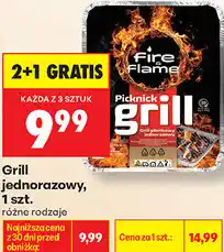 Biedronka Grill jednorazowy Picknick Fire & Flame oferta