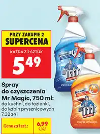 Biedronka Spray do czyszczenia Mr Magic oferta