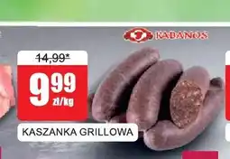 Bingo Kaszanka grillowa Kabanos oferta