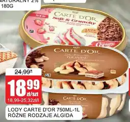 Bingo Lody Carte d'Or Algida oferta