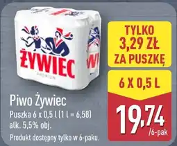 ALDI Piwo Żywiec oferta