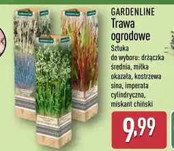 ALDI Gardenline Trawa ogrodowe oferta