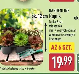 ALDI Gardenline Rojnik oferta
