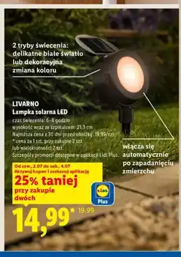 Lidl Lampka solarna LED LIVARNO oferta