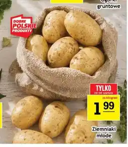 Gram Market Ziemniaki młode polskie oferta