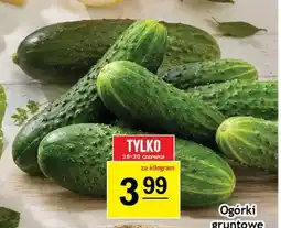 Gram Market Ogórki gruntowe oferta