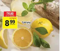 Gram Market Cytryny oferta