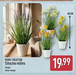 ALDI Sztuczna roślina Home Creation oferta