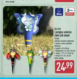 ALDI Lampka solarna owad BELAVI oferta