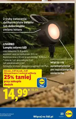 Lidl LIVARNO Lampka solarna LED oferta