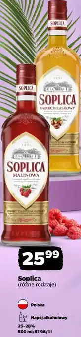 Netto Soplica (różne rodzaje) oferta