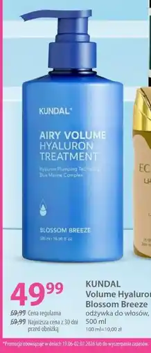 Hebe Kundal Volume Hyaluron Blossom Breeze odżywka do włosów oferta