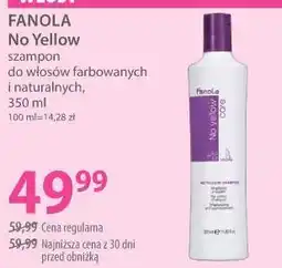 Hebe FANOLA No Yellow szampon do włosów farbowanych i naturalnych oferta