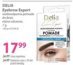 Hebe Delia Eyebrow Expert wodoodporna pomada do brwi oferta