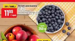 Polomarket Borówki amerykańskie oferta