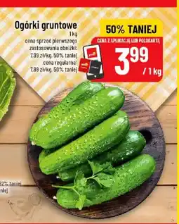 Polomarket Ogórki gruntowe oferta