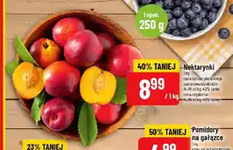 Polomarket Nektarynki oferta