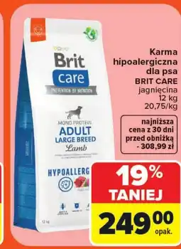 Carrefour Market Karma dla psa Brit Care oferta