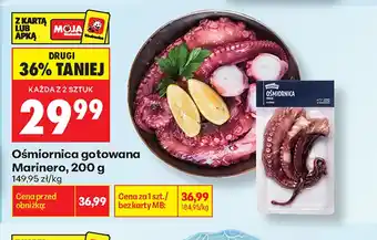 Biedronka Ośmiornica Marinero oferta