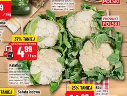 Polomarket Kalafior polski oferta