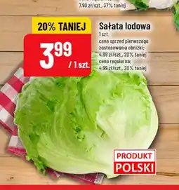 Polomarket Sałata lodowa polska oferta