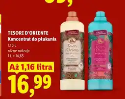 Lidl Koncentrat do płukania tkanin Tesori d'Oriente Ayurveda oferta