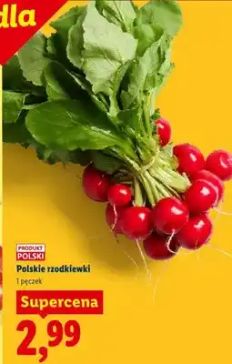 Lidl Rzodkiewki polskie oferta