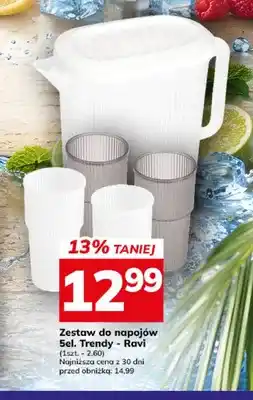 Hitpol Zestaw do napojów Trendy Ravi oferta