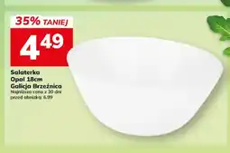 Hitpol Salaterka Opal Galicja Brzeźnica oferta