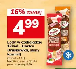 Hitpol Lody w czekoladzie Hortex truskawka oferta