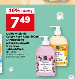 Hitpol Mydło w płynie Cztery Pory Roku Aromatyczna Malina & Borówka oferta