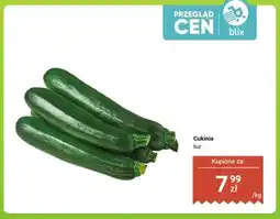 Dino Cukinia luz oferta