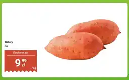 Dino Bataty luz oferta