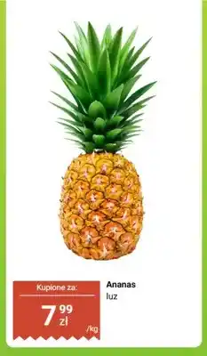 Dino Ananas luz oferta