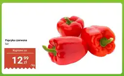 Dino Papryka czerwona oferta